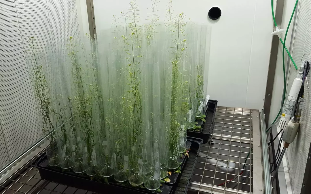 eCO2THREATS – WP1R